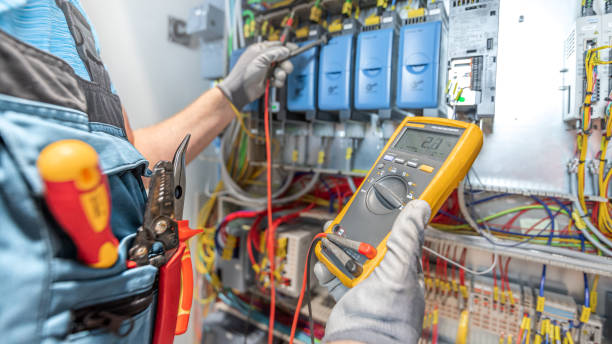 Best Electric Panel Repair  in Smyrna, DE